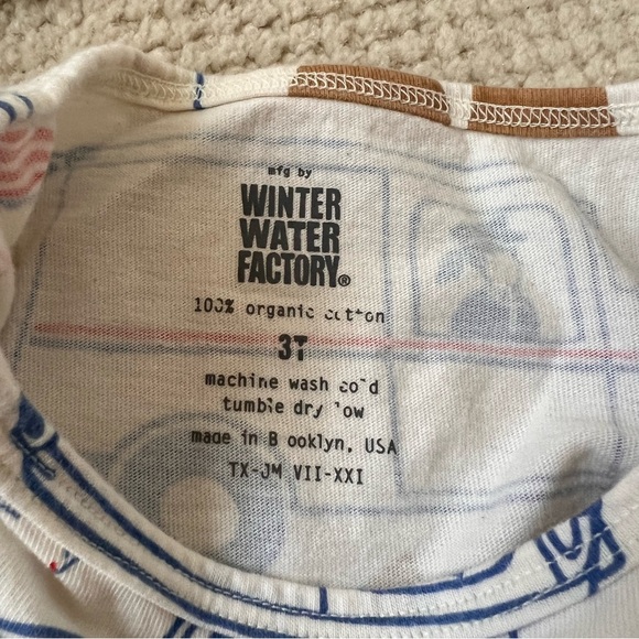 Bundle of 2 winter water factory dresses in 3T - Picture 3 of 3